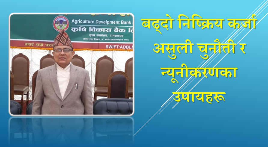 बढ्दो निष्क्रिय कर्जा असुली चुनौती र न्यूनीकरणका उपायहरू, निर्मलराज कोइरालाको लेख